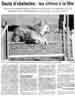 Article de Nice Matin, Edition d'Antibes du 18/02/2005